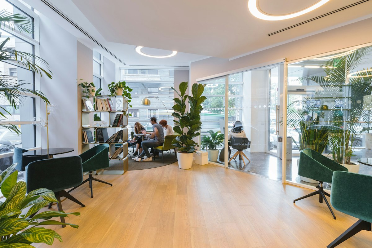 A bright coworking lounge with plants, armchairs and natural light