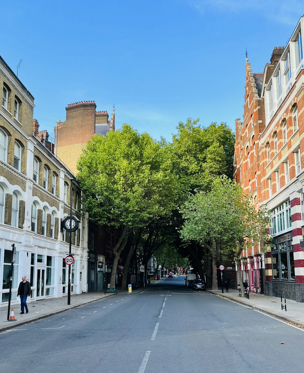 A tree-lined street of mixed period and modern buildings in Clerkenwell