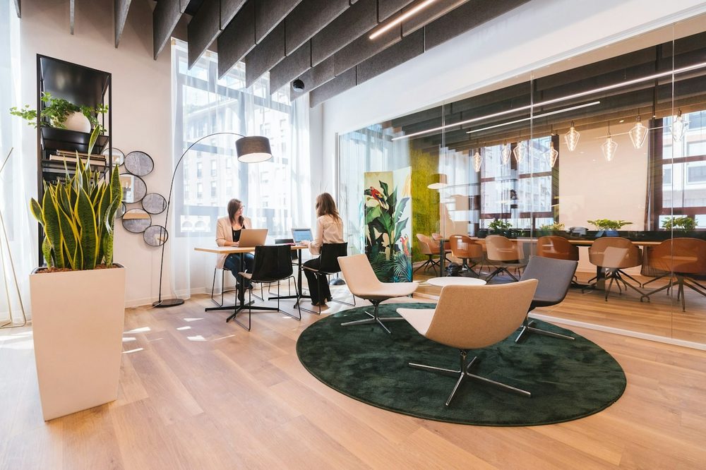 A bright, airy office with wooden floors, plants and large windows, the kind of Chelsea office we clean