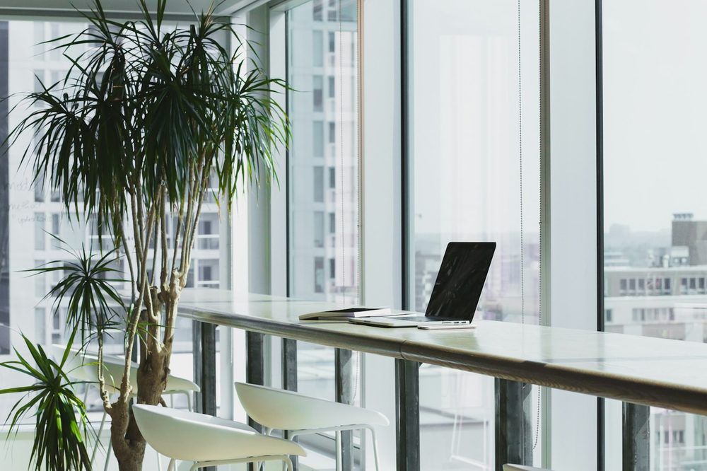 A quiet office corner with a long white desk and a palm beside floor-to-ceiling windows, the kind of Pimlico office we clean