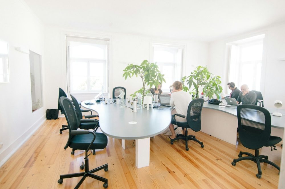 A team working around a shared table in a bright, plant-filled office, the kind of Waterloo office we clean