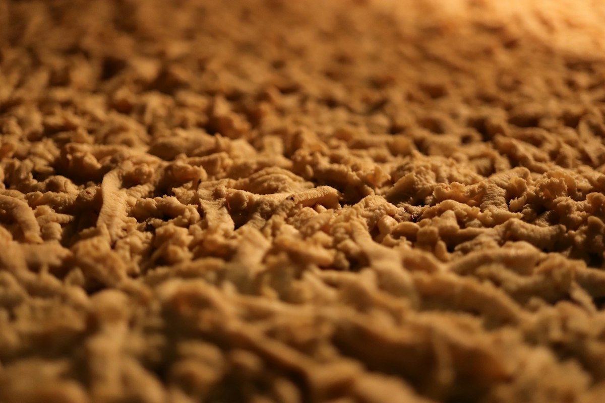 A close-up of deep-pile carpet fibres