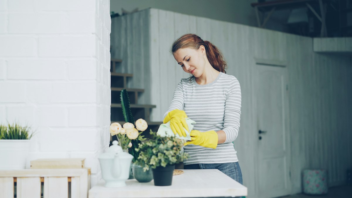 A cleaner in yellow gloves tending to plants and surfaces during a seasonal clean